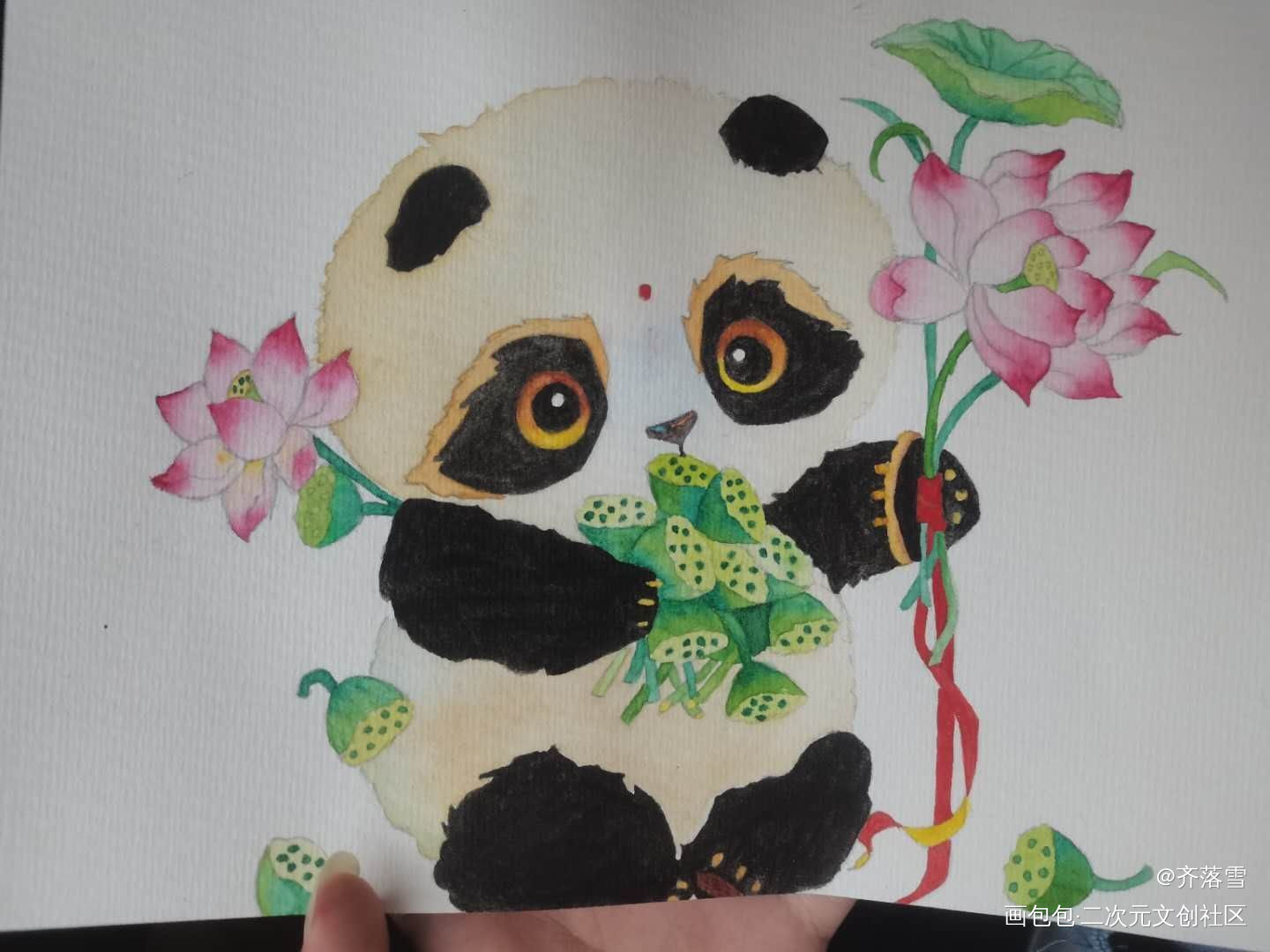 熊猫（临摹）_熊猫临摹绘画作品