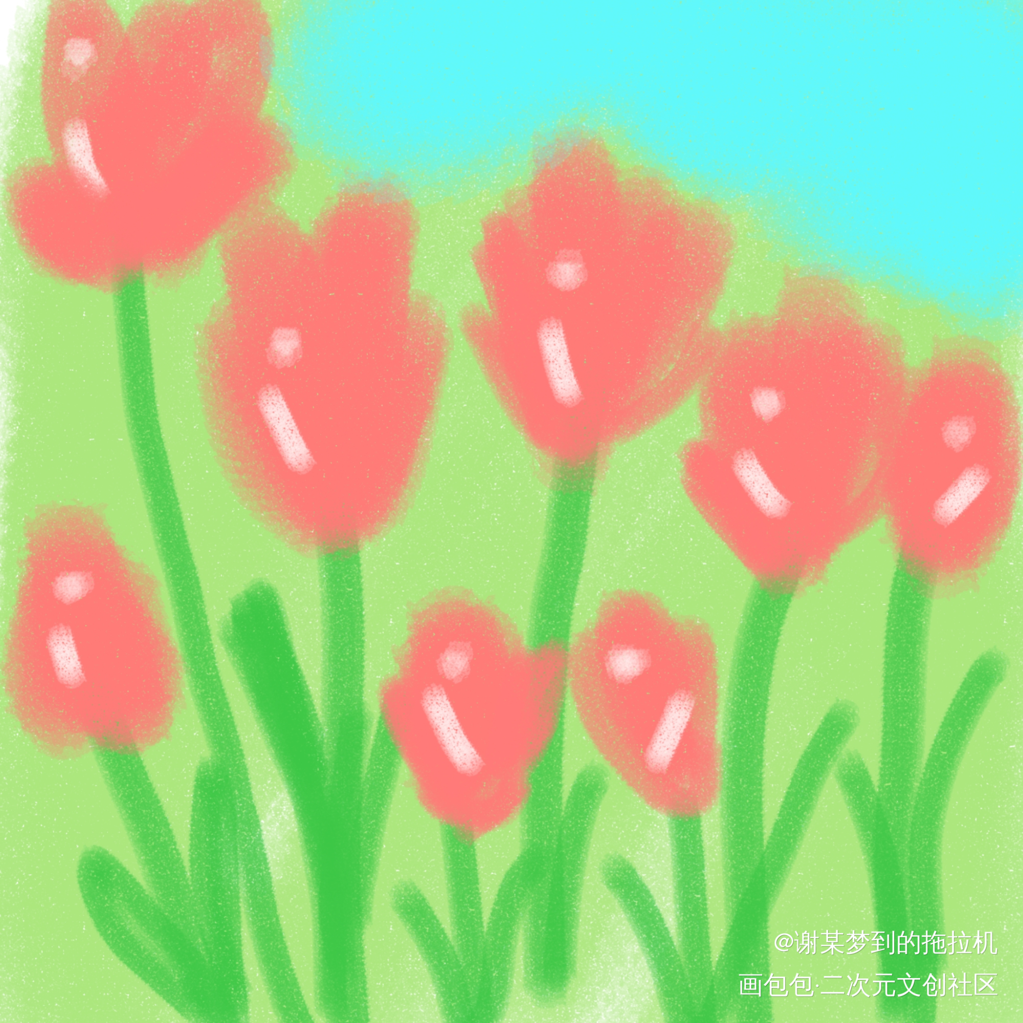 郁金香?（低配版）_手绘绘画作品
