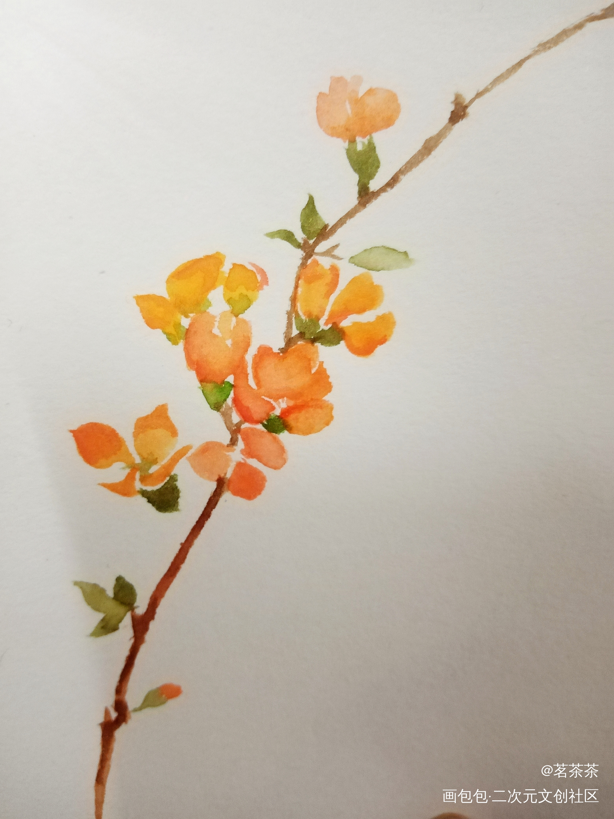 打卡_手绘水彩绘画作品