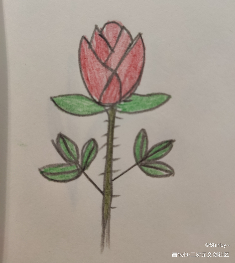 Day6_手绘绘画作品