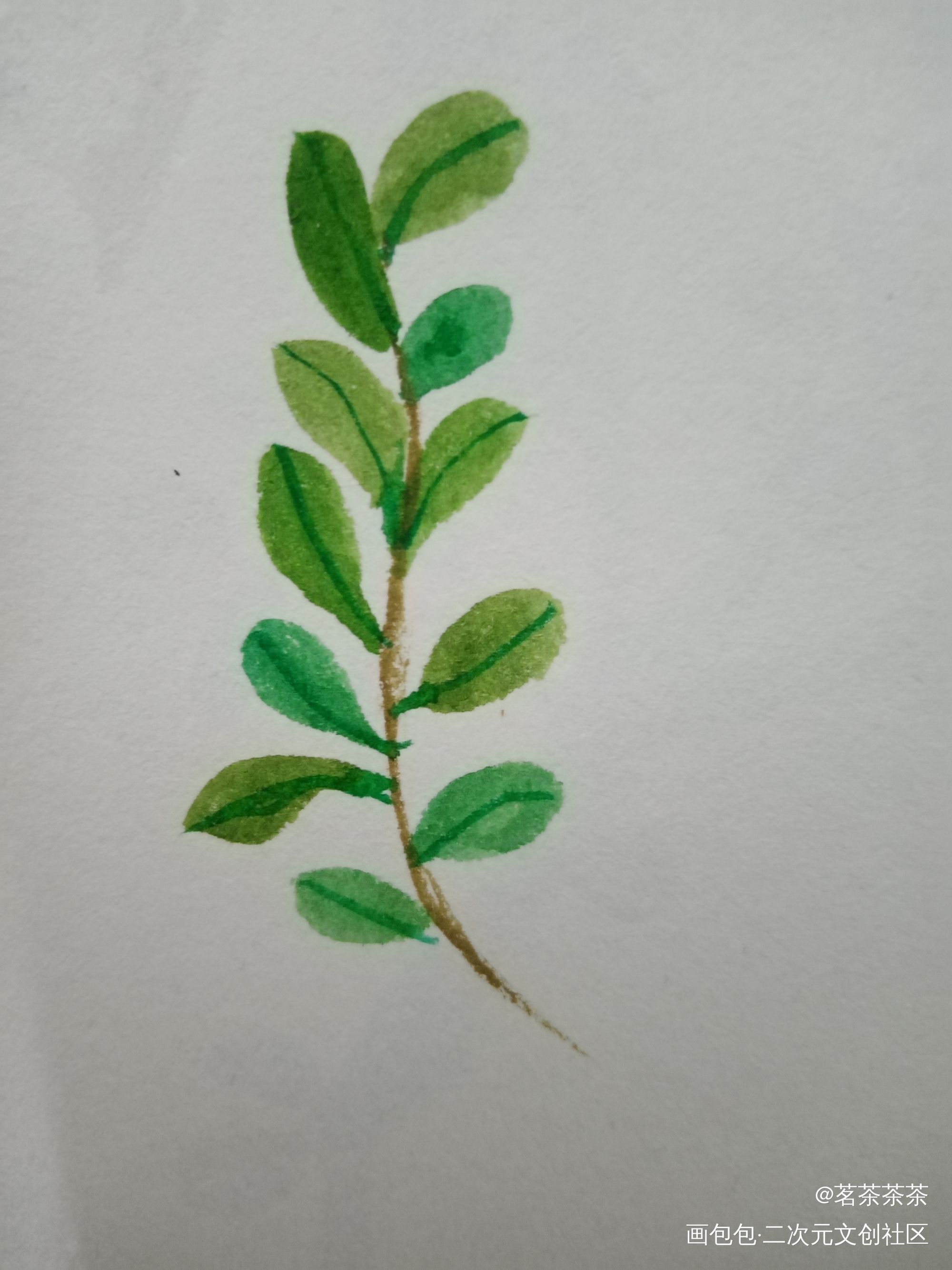 打卡_手绘水彩绘画作品
