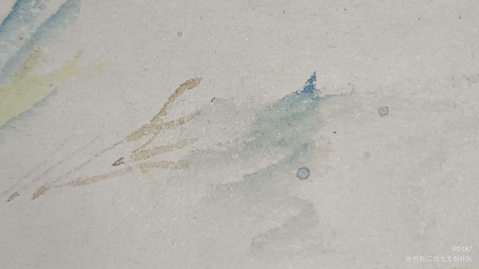 独帜一树_手绘水彩绘画作品