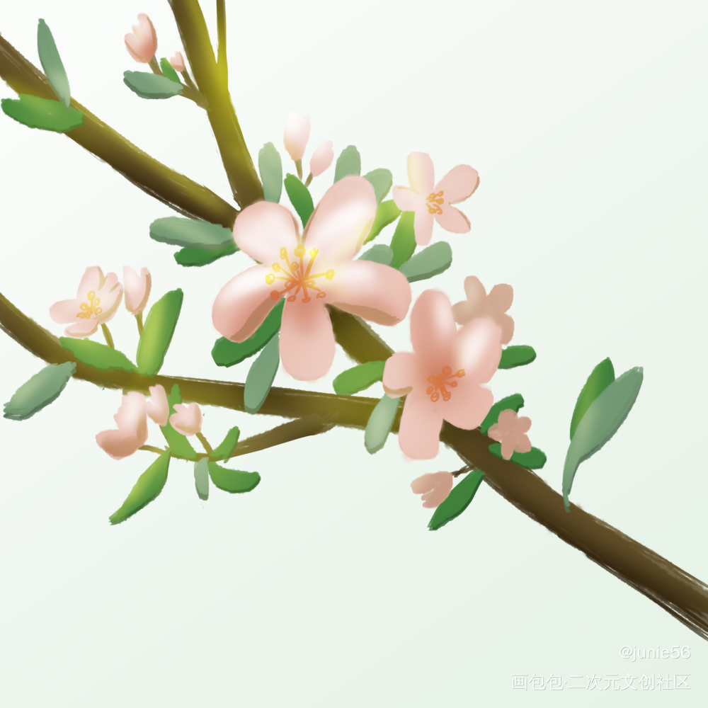 春日画画_平涂绘画作品