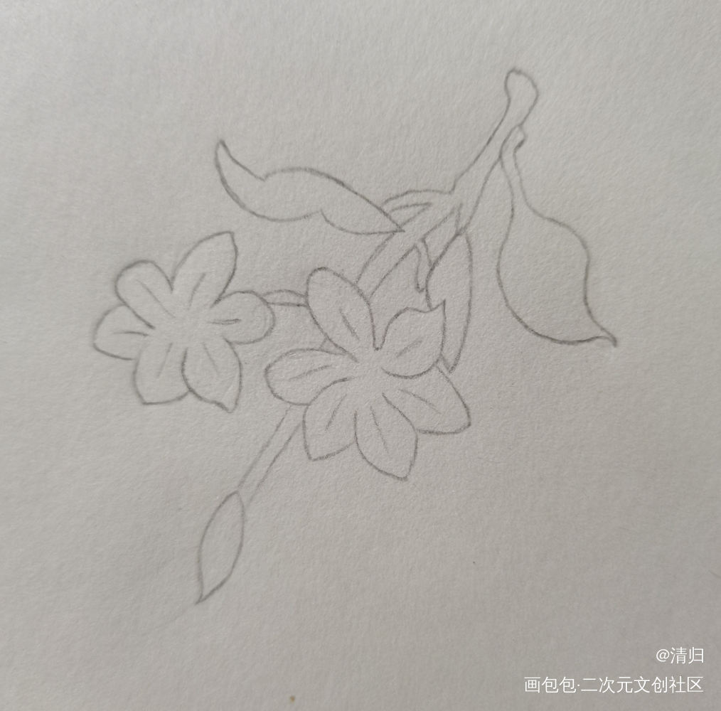 Day4 迎春花_手绘绘画作品