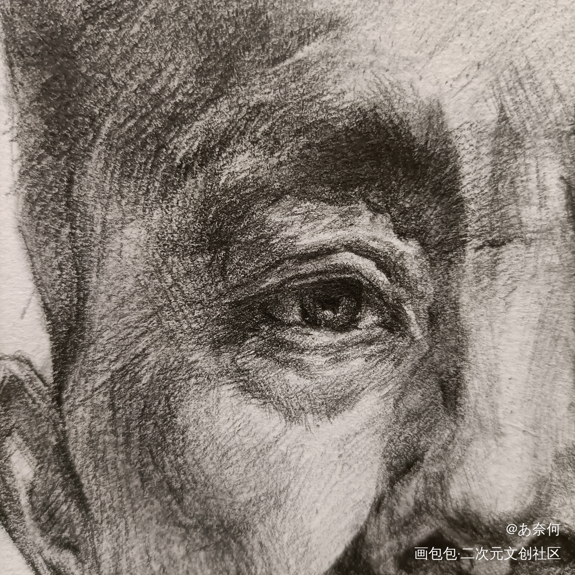 中老年人_手绘素描绘画作品