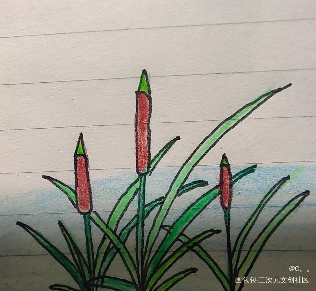 打卡6_手绘绘画作品