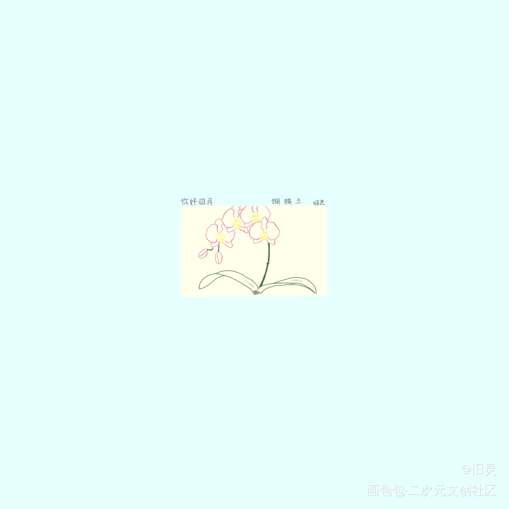 【day5】蝴蝶兰_指绘绘画作品