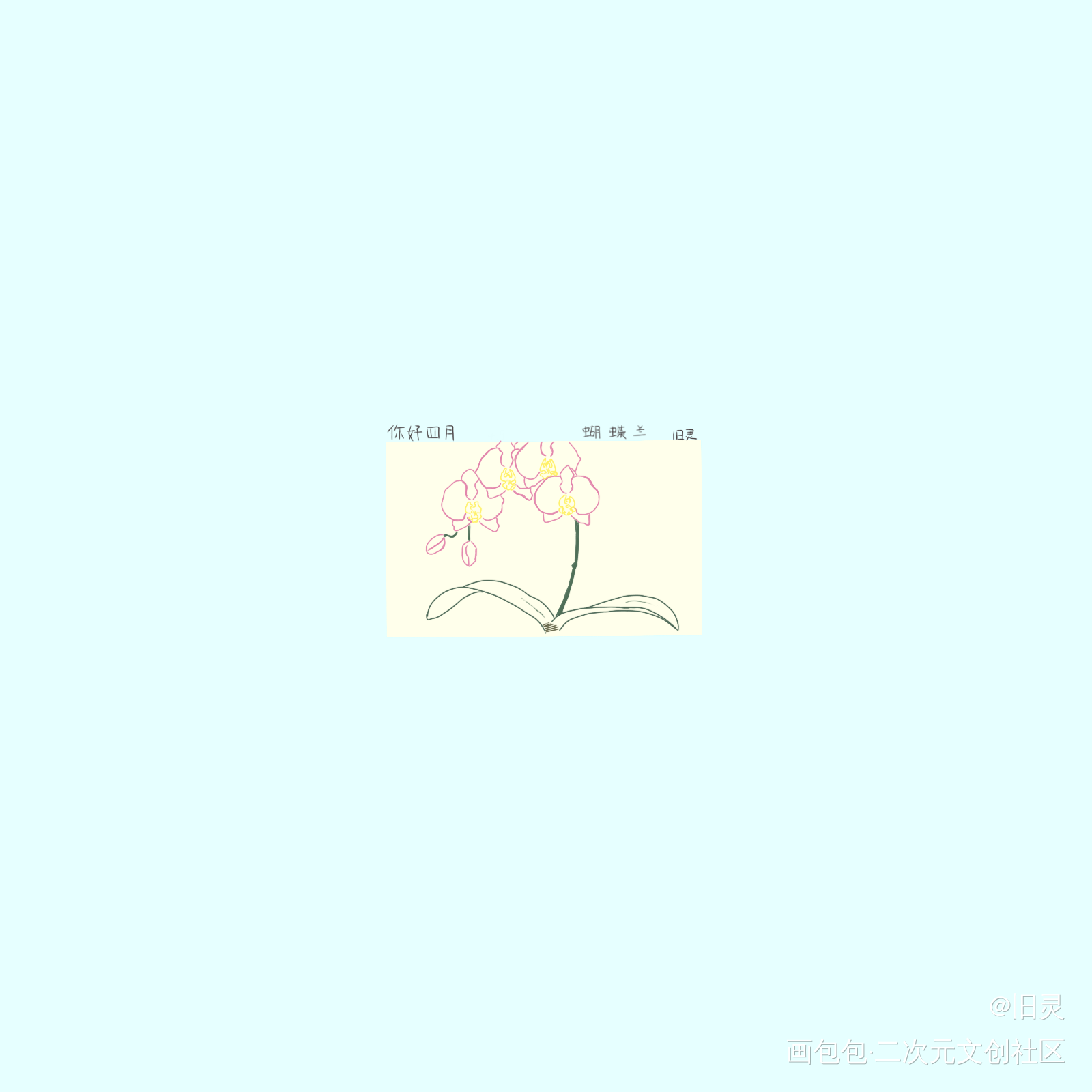【day5】蝴蝶兰_指绘绘画作品