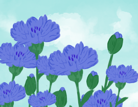 【day1】矢车菊_绘画作品
