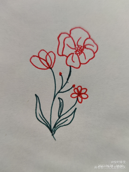 第二个花花_手绘绘画作品