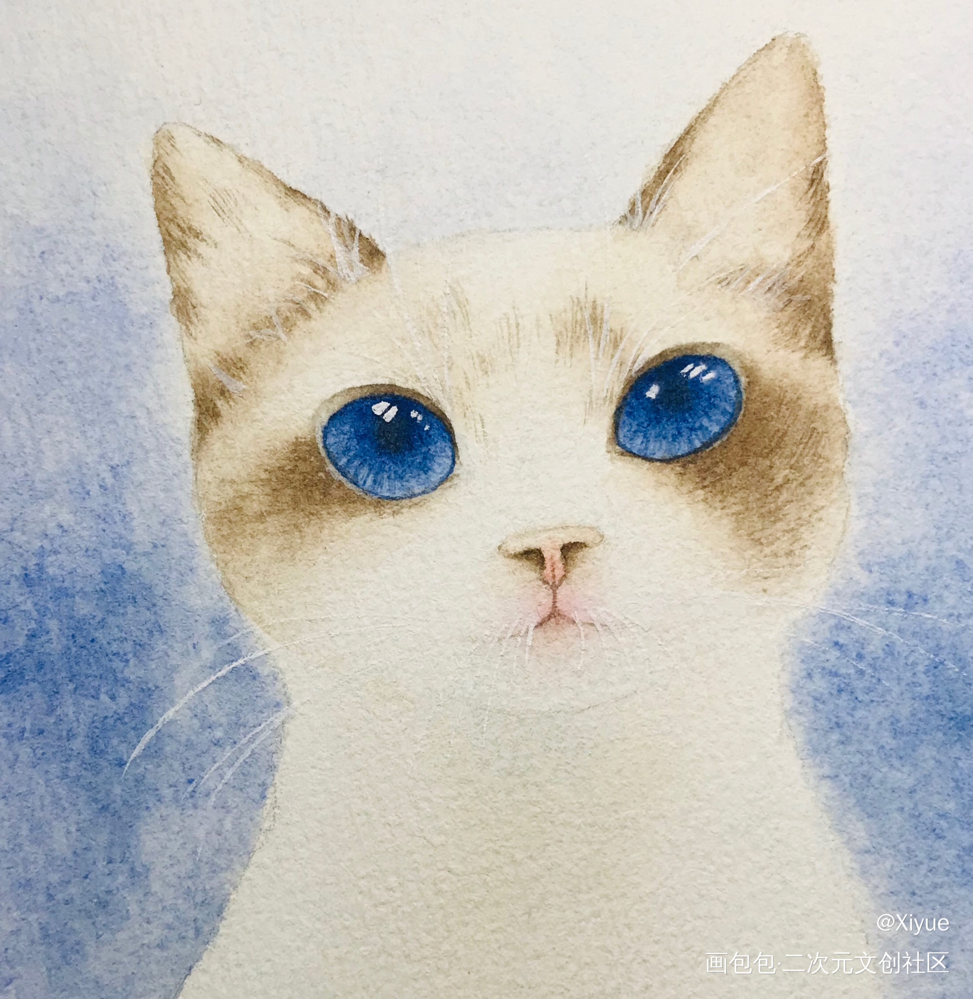 猫咪_水彩绘画作品