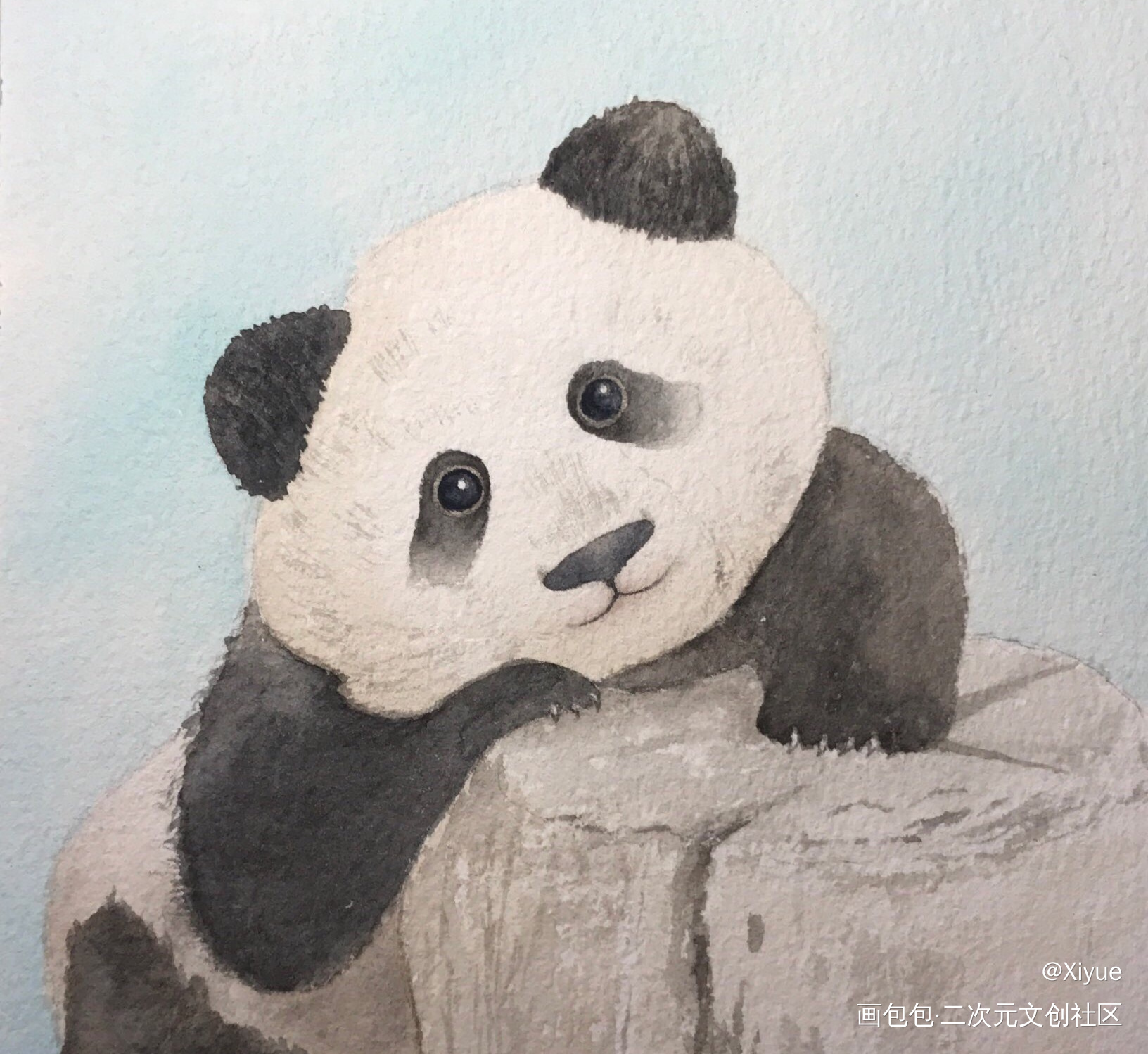 熊猫_水彩绘画作品