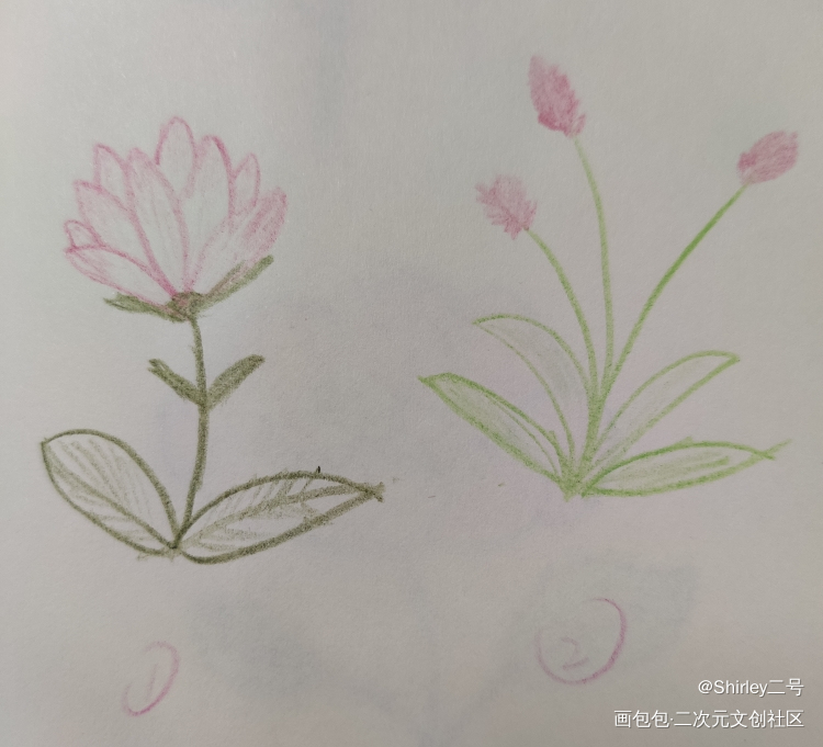 Day7_手绘绘画作品