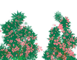 植物充满生机_绘画作品