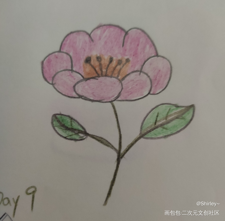 Day7_手绘绘画作品