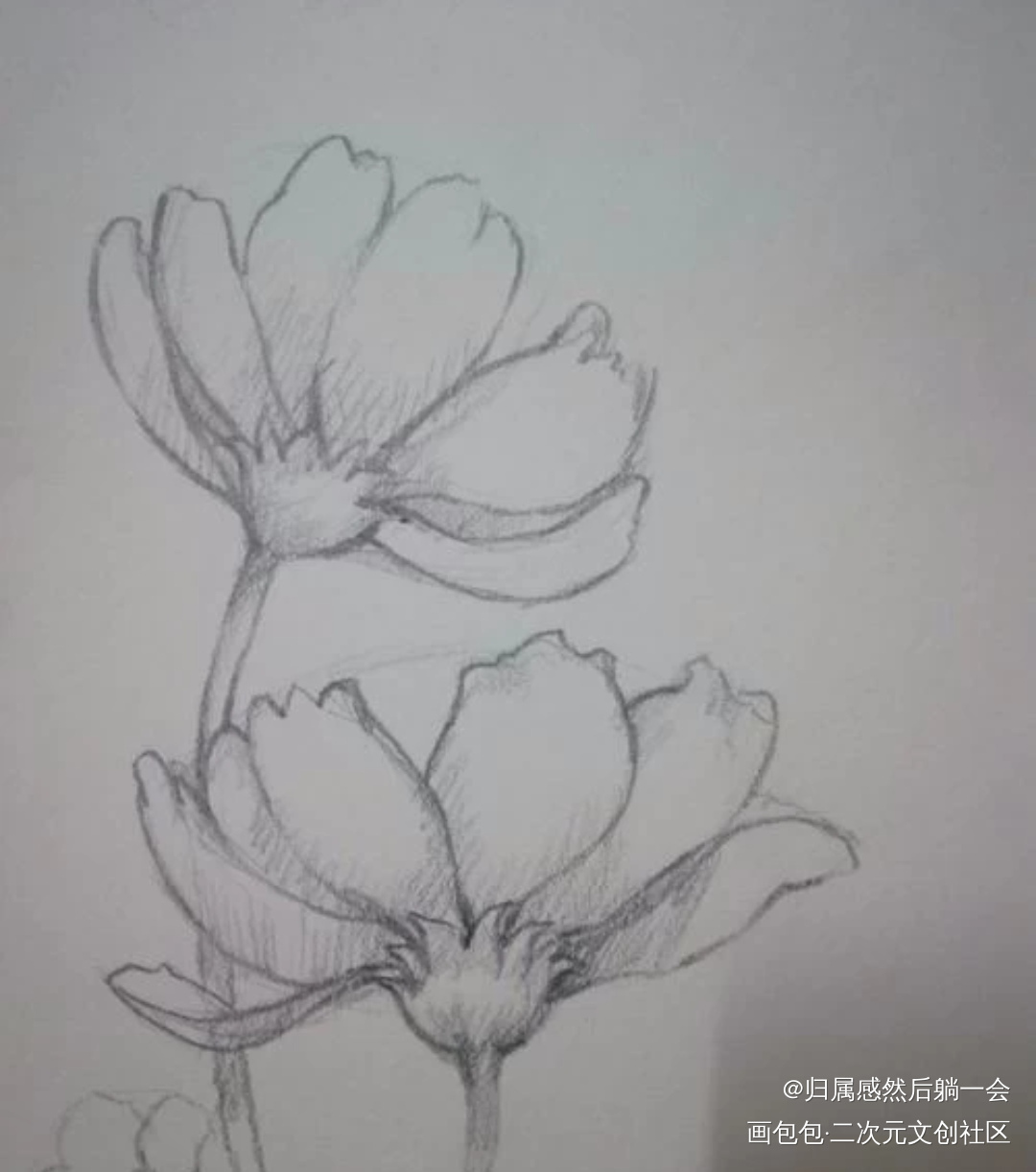 _手绘绘画作品