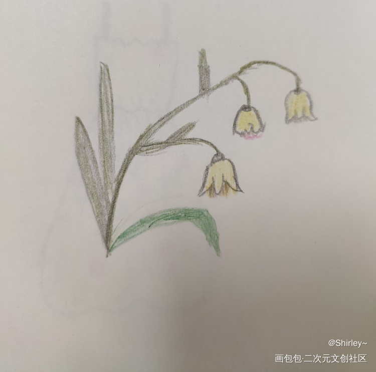 Day7_手绘绘画作品