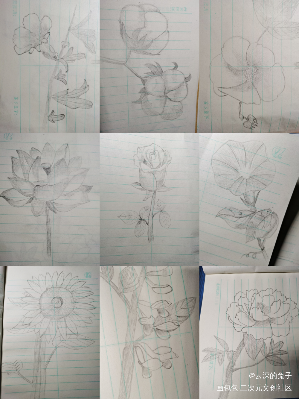 把画好的手绘汇一下总_手绘绘画作品