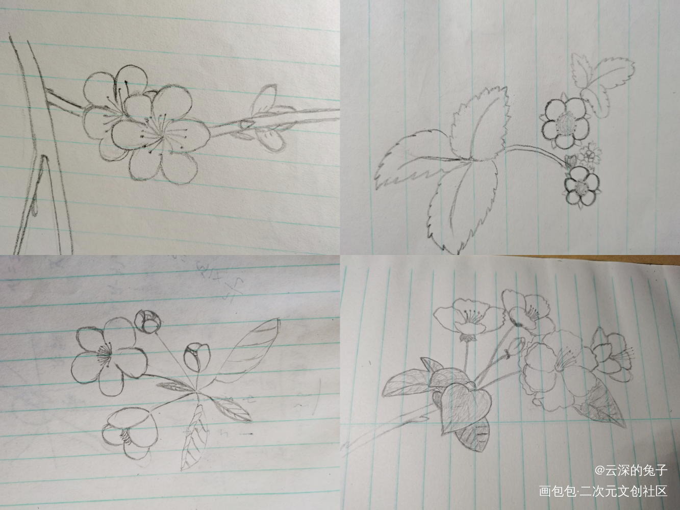 把画好的手绘汇一下总_手绘绘画作品