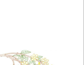 迎春花_绘画作品