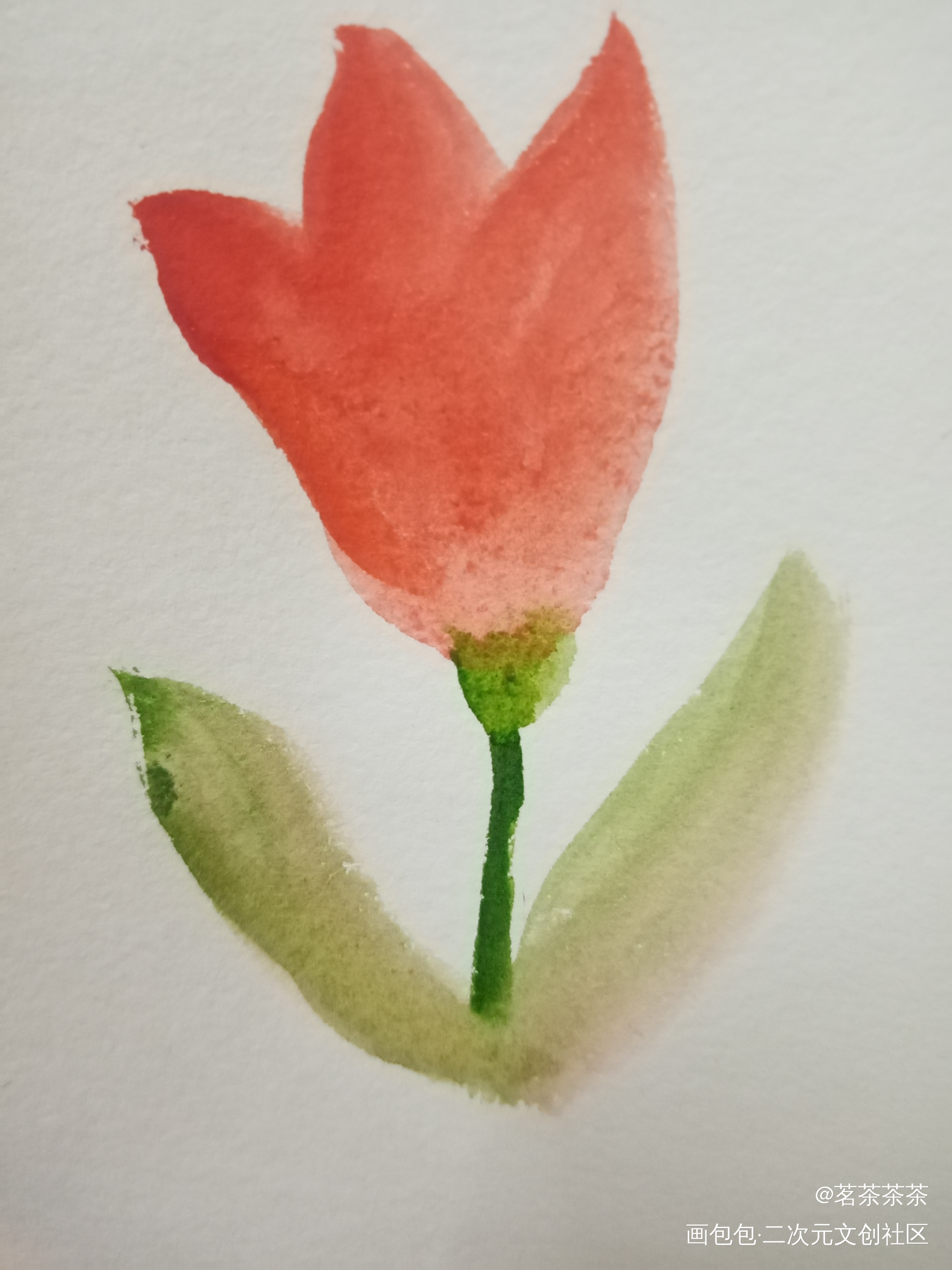 打卡_手绘水彩绘画作品