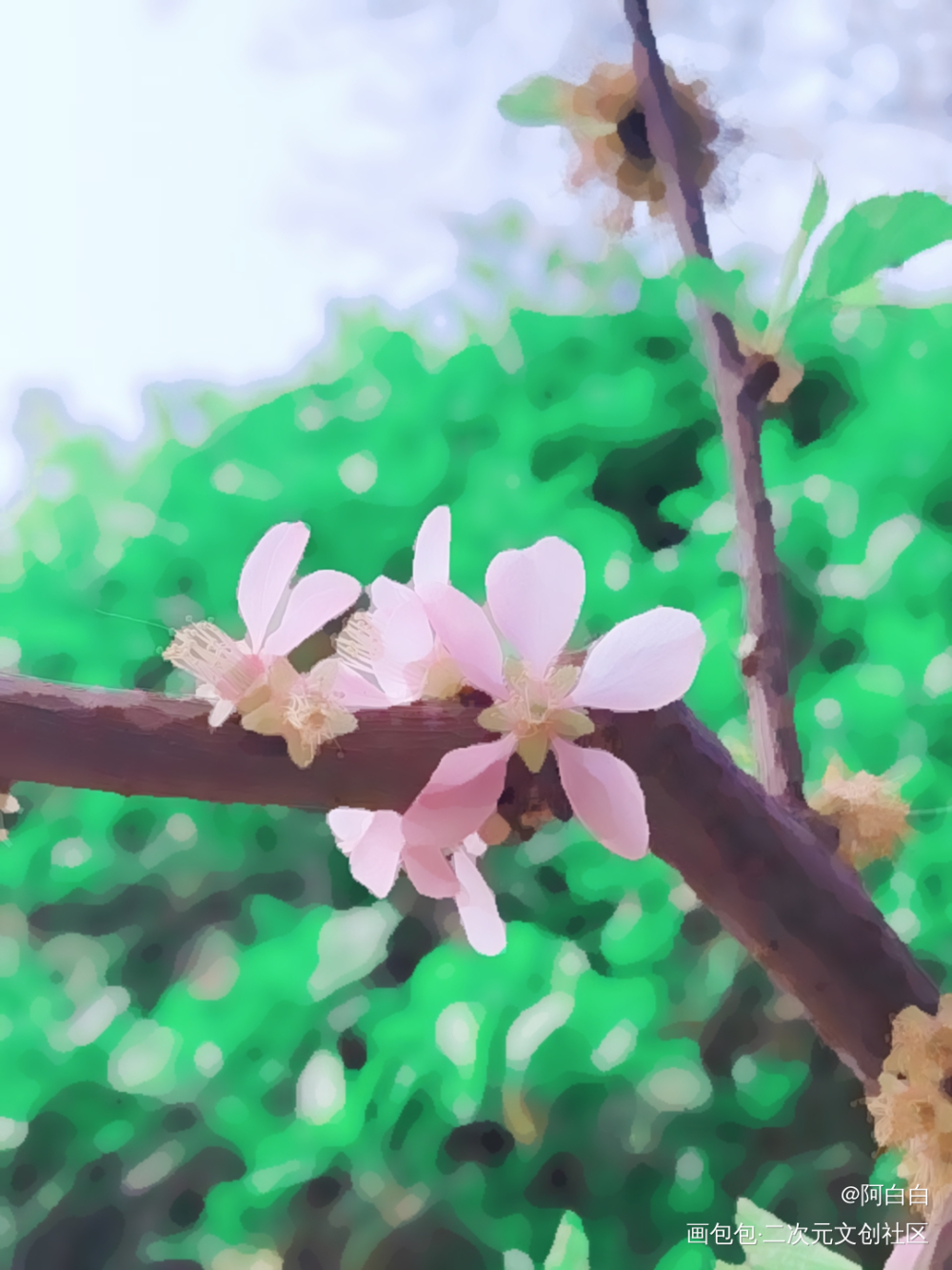春桃_手绘绘画作品
