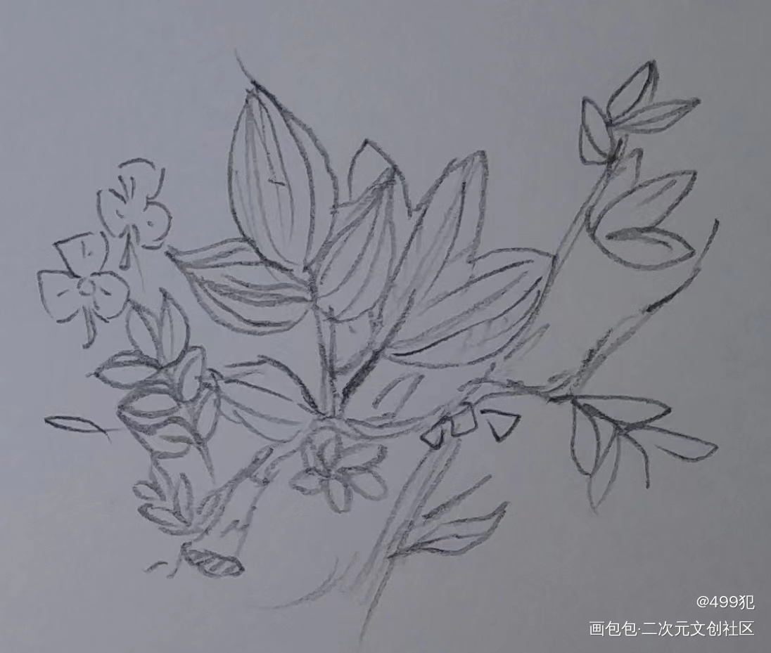 _手绘绘画作品
