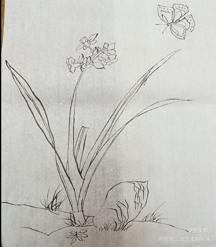 兰_工笔绘画作品