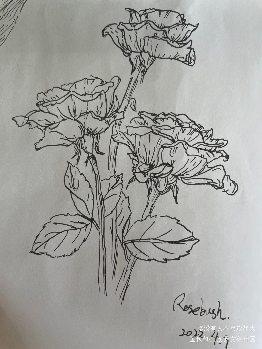 打卡_手绘绘画作品