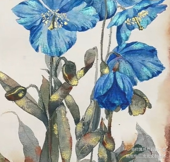 _手绘绘画作品