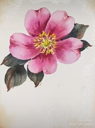 _手绘绘画作品