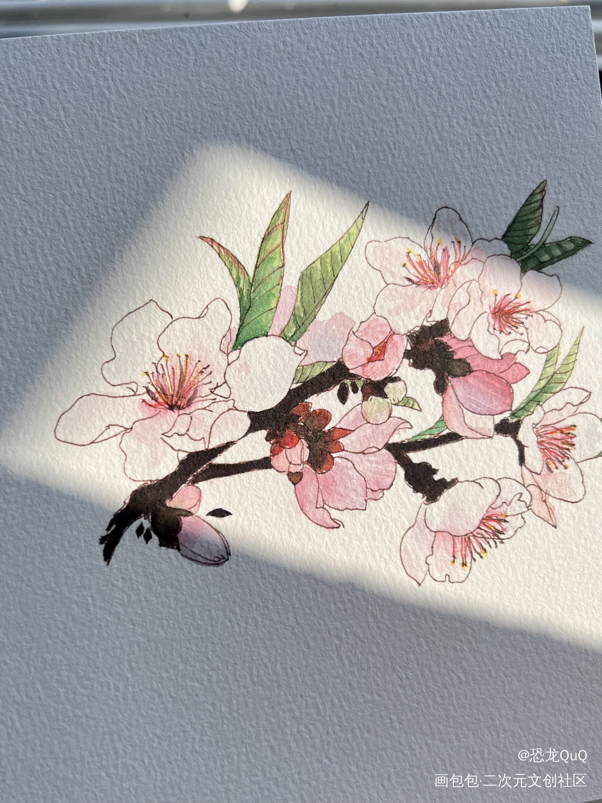花花_手绘水彩临摹绘画作品