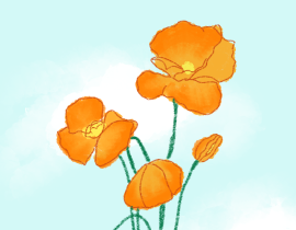 【day5】虞美人_绘画作品