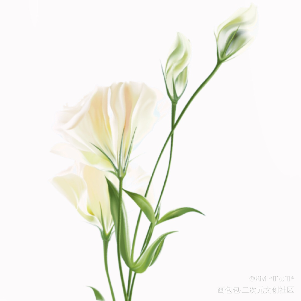 春天_手绘绘画作品
