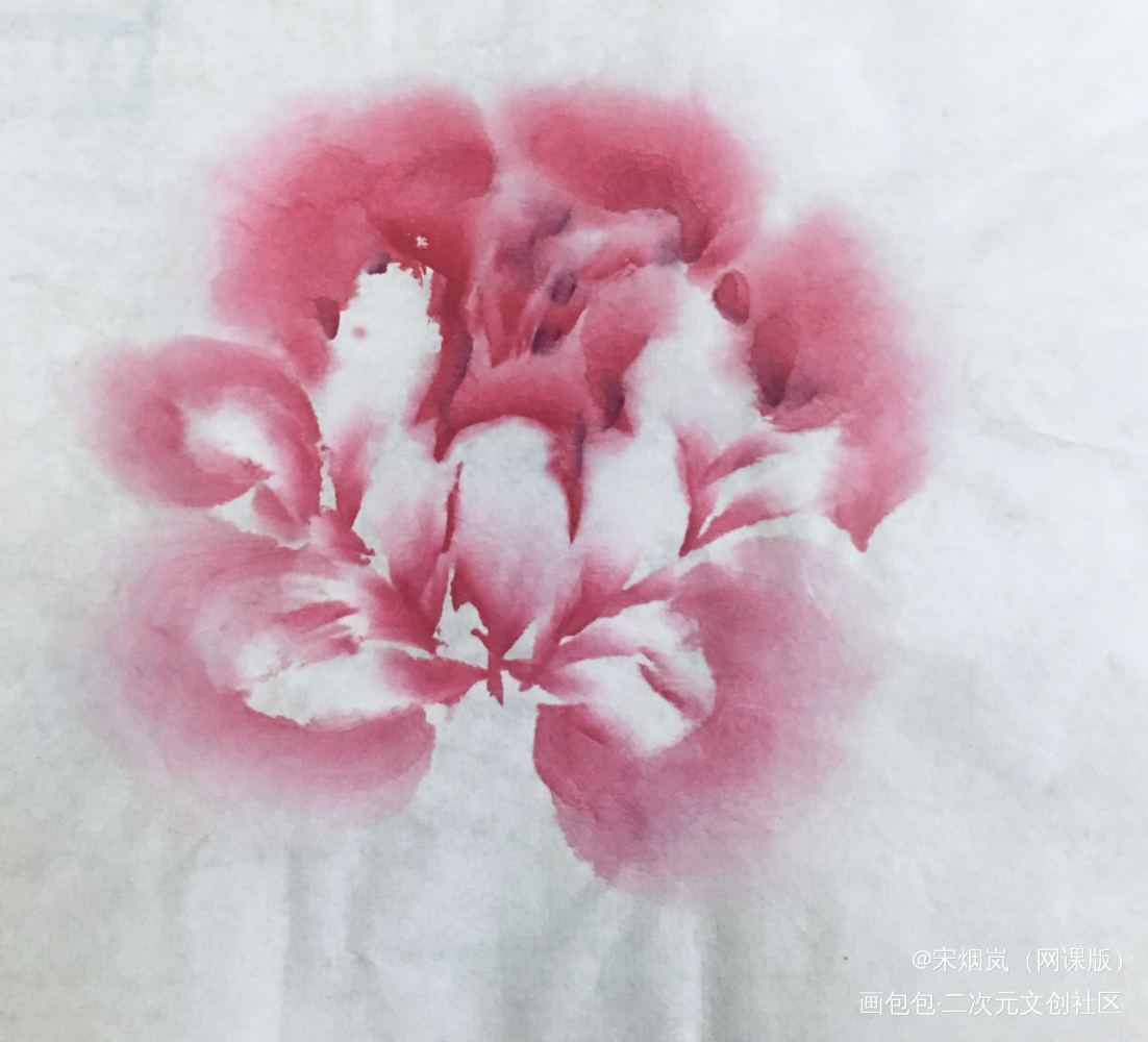 霸王花（误）_国画绘画绘画作品