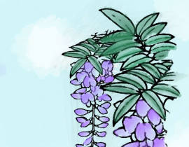 【day5】紫藤花_绘画作品