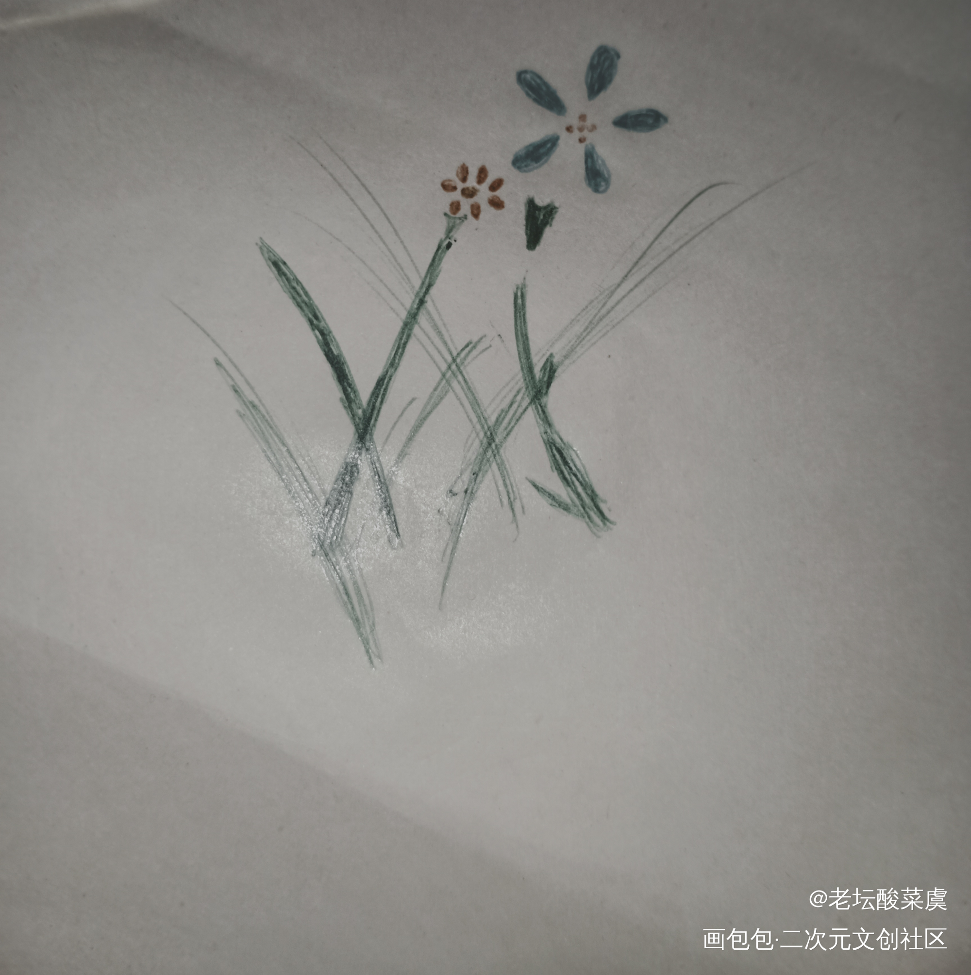 _手绘绘画作品