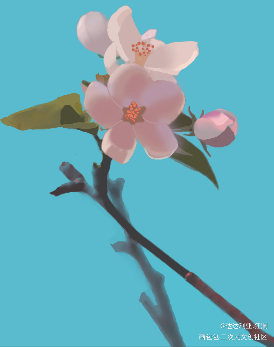 山桃花_日系绘画作品