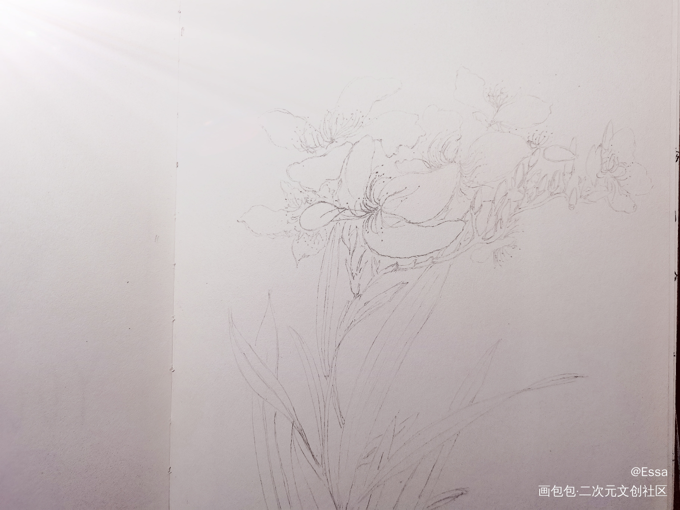 Day_4_唤醒春日主题打卡绘画作品