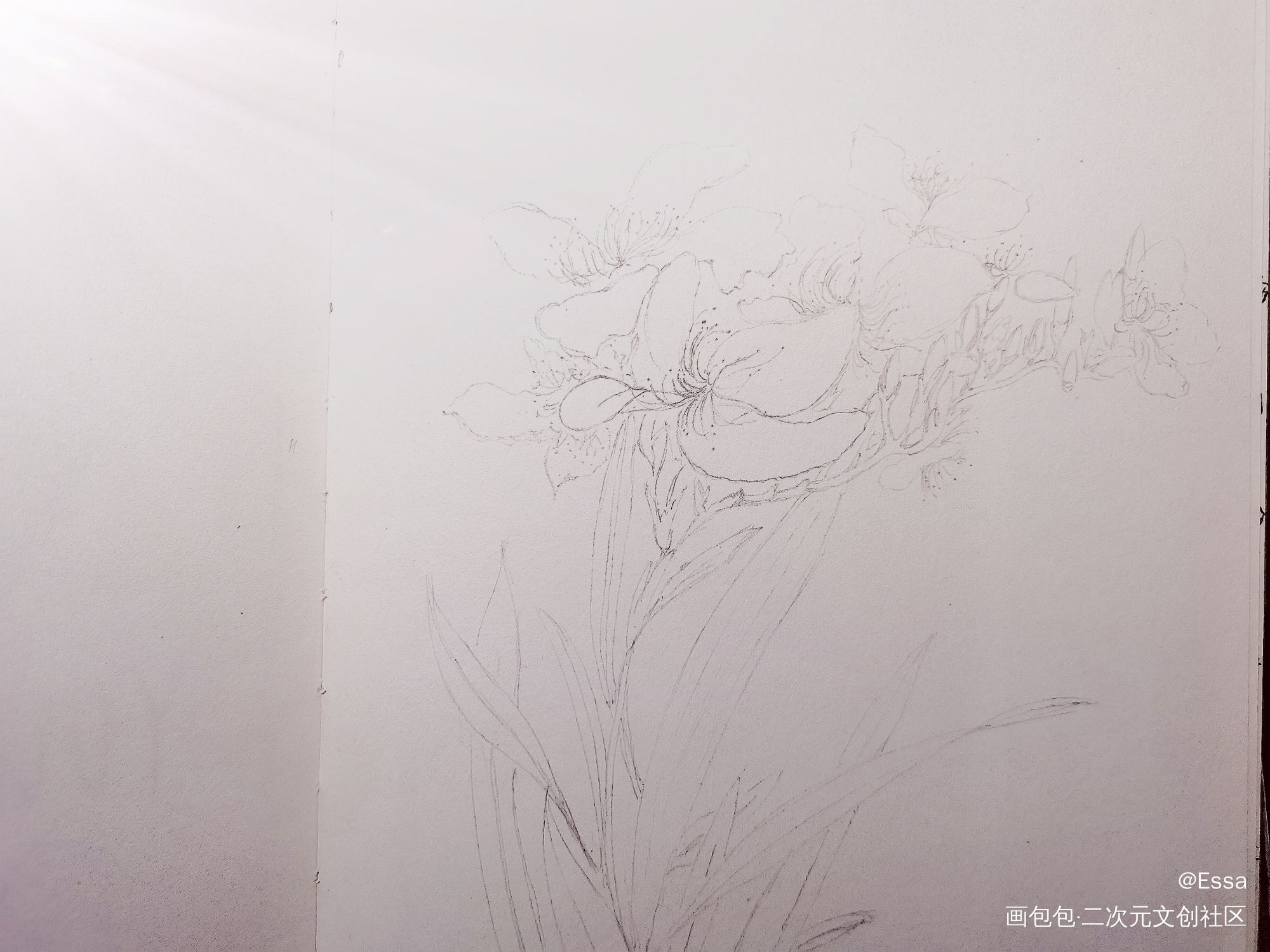Day_4_唤醒春日主题打卡绘画作品