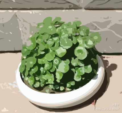 铜钱草_手绘绘画作品