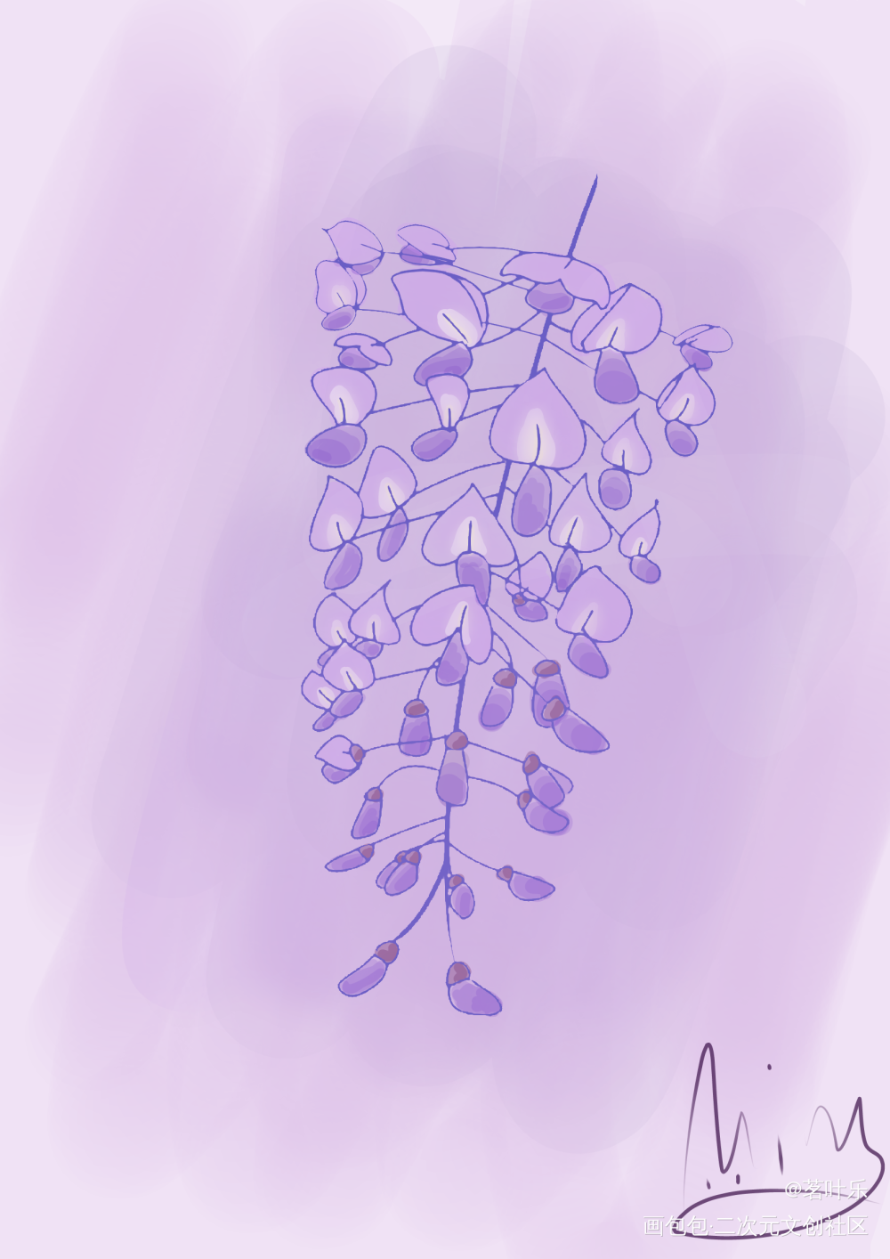 紫藤萝_紫藤萝植物绘画作品