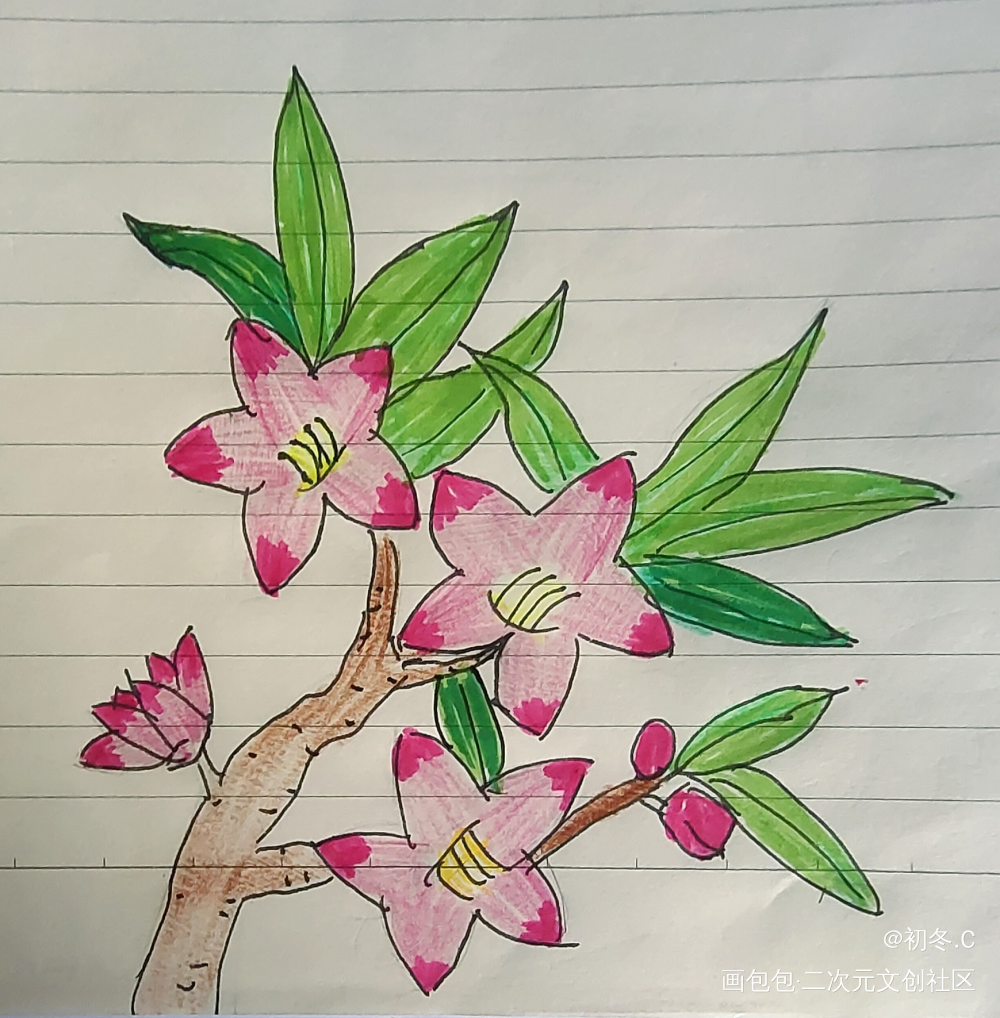 打卡5_手绘绘画作品