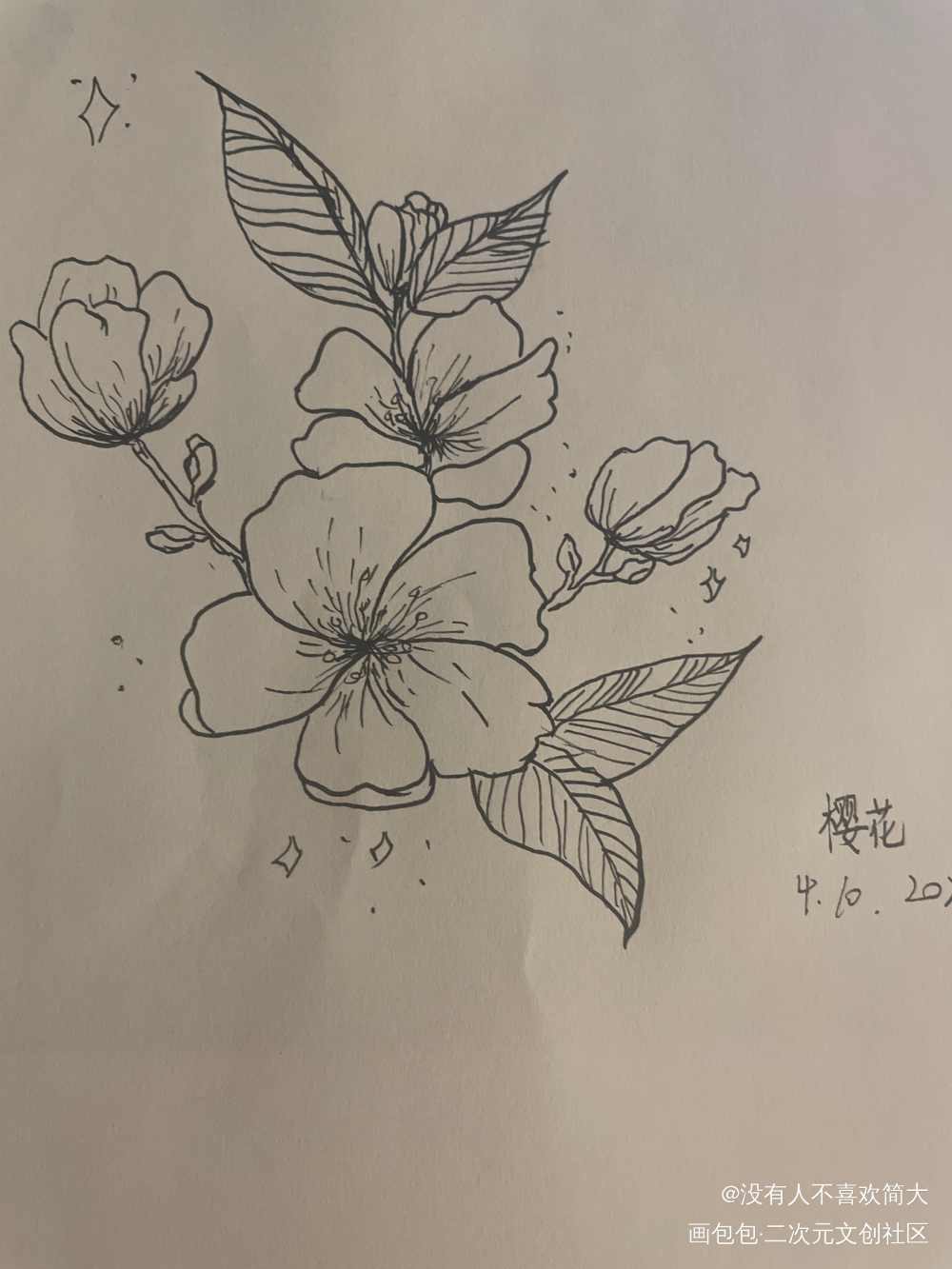 樱花_手绘绘画作品