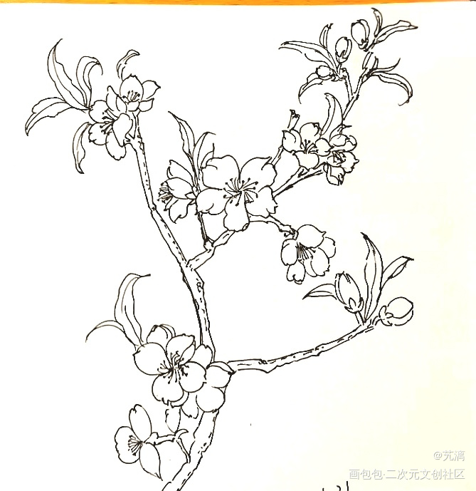 桃花_手绘临摹绘画作品