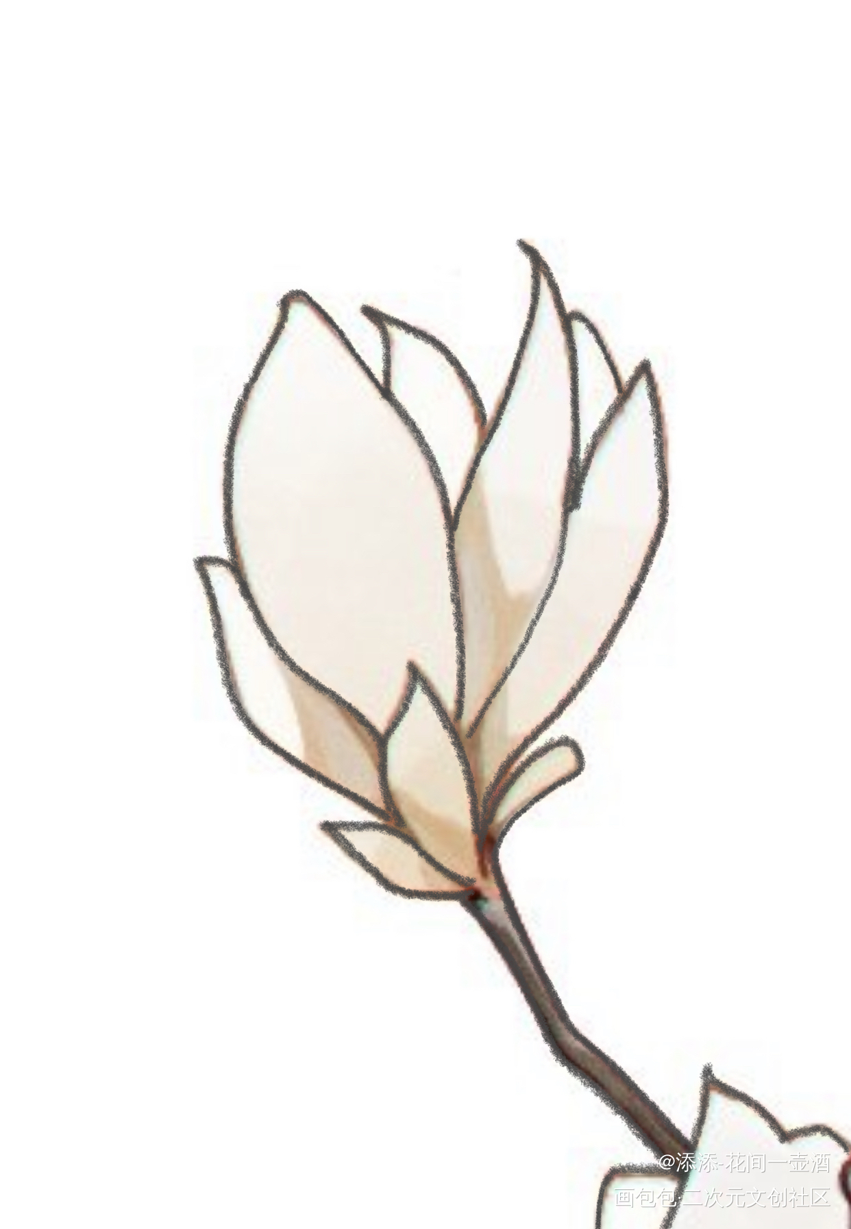 临摹 花花_画画临摹绘画作品
