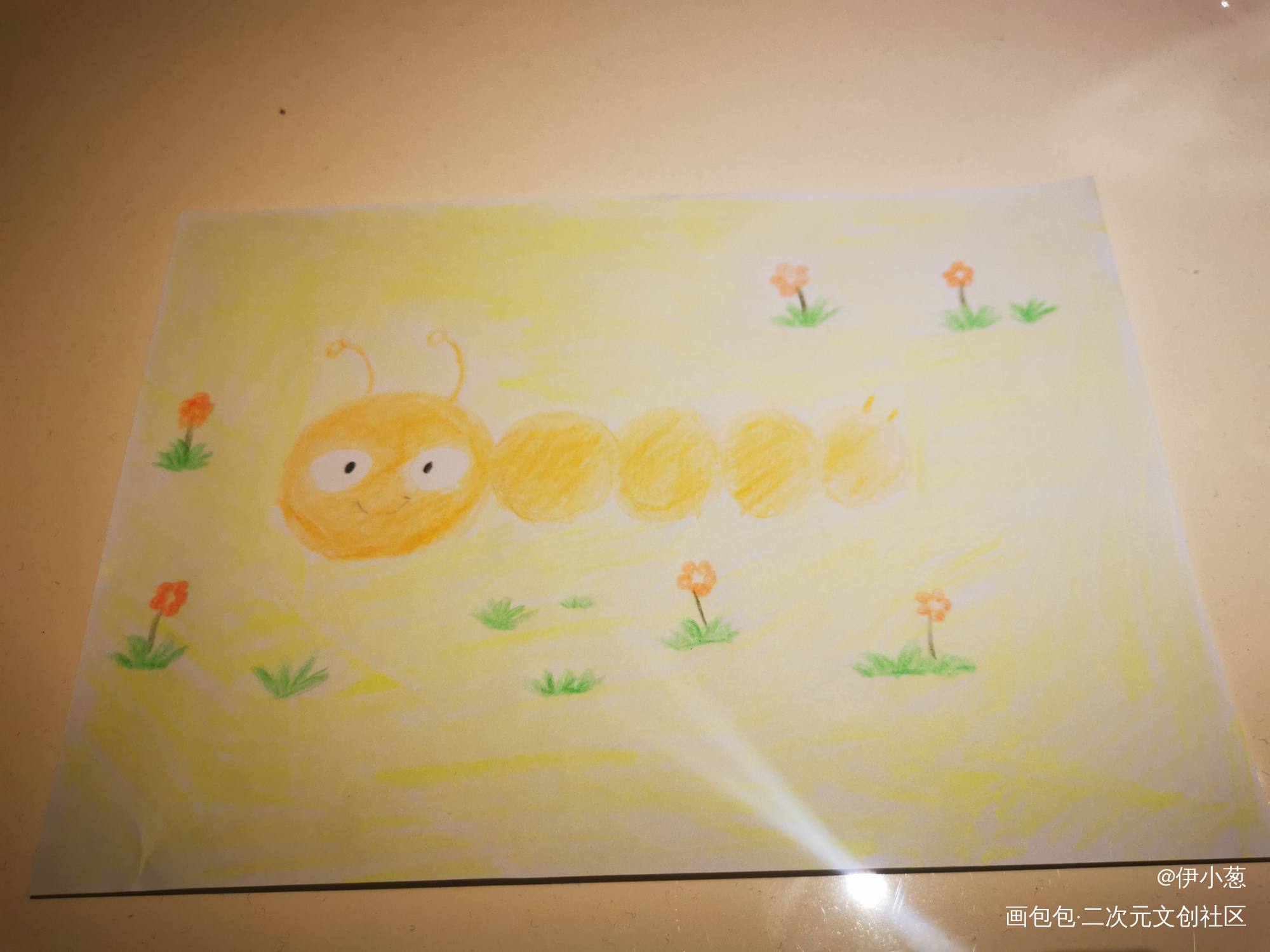 毛毛虫_手绘绘画作品