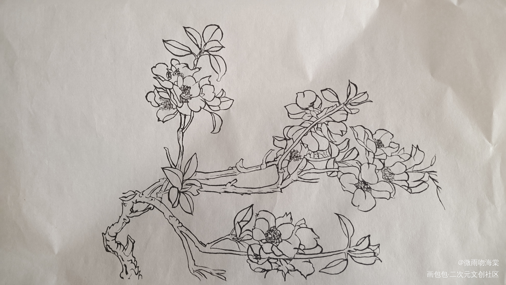 春花_水墨手绘绘画作品