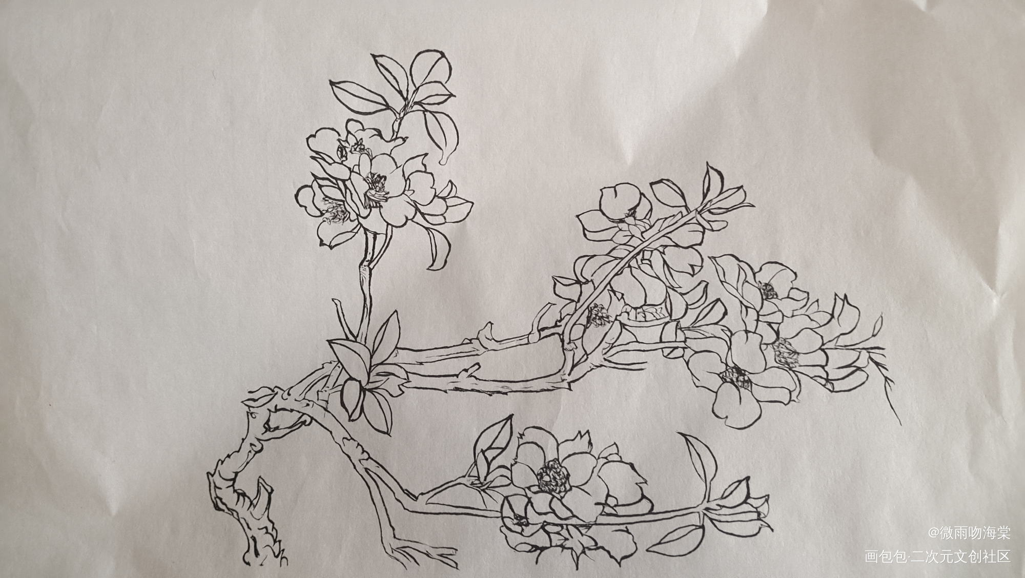 春花_水墨手绘绘画作品