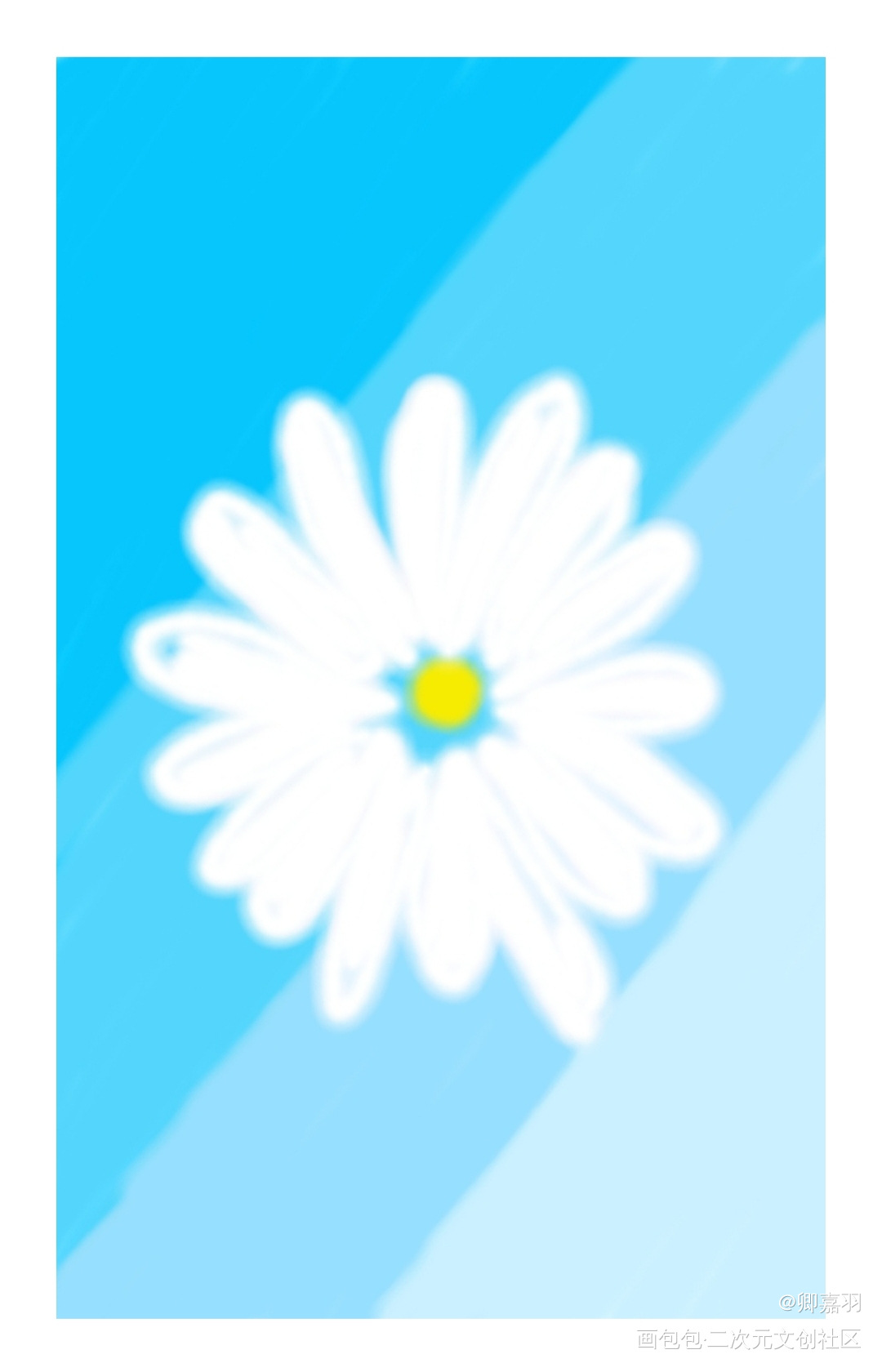小雏菊_手绘平涂绘画作品